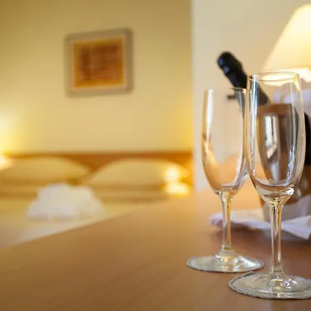 Hotel Istarske Toplice Health - Sv. Stjepan 3*